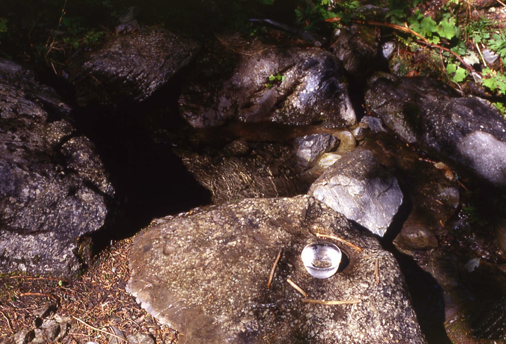 Fleurs de Bach - Eau de roche - Annecy kinésiologie spécialisée